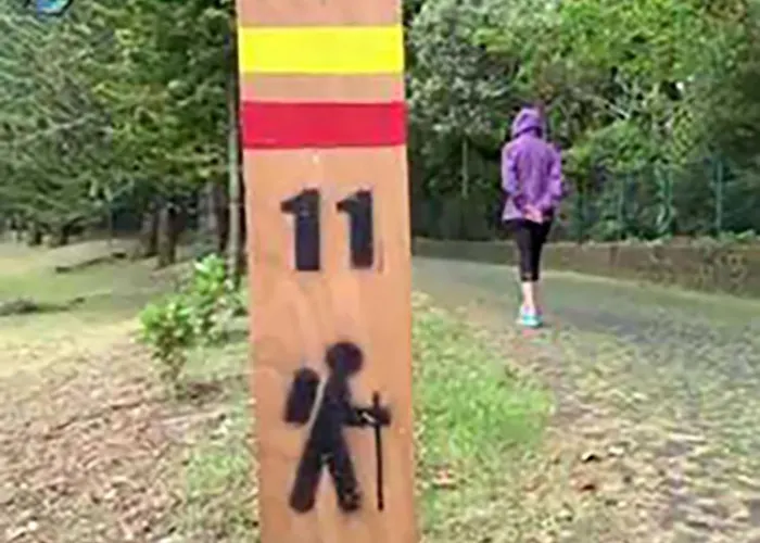 Σπίτι διακοπών B&c House Furnas (Azores)