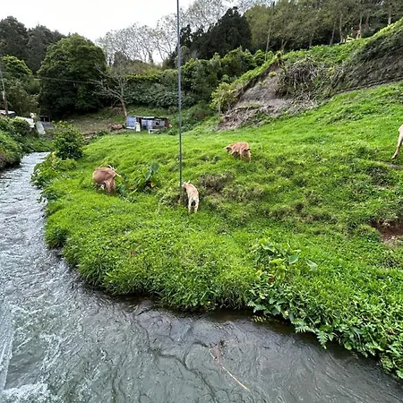 B&c House Furnas (Azores)