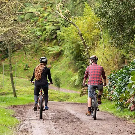 בית נופש B&c House