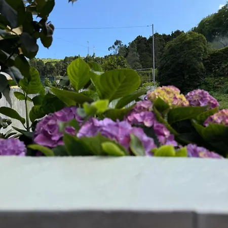 בית נופש B&c House *