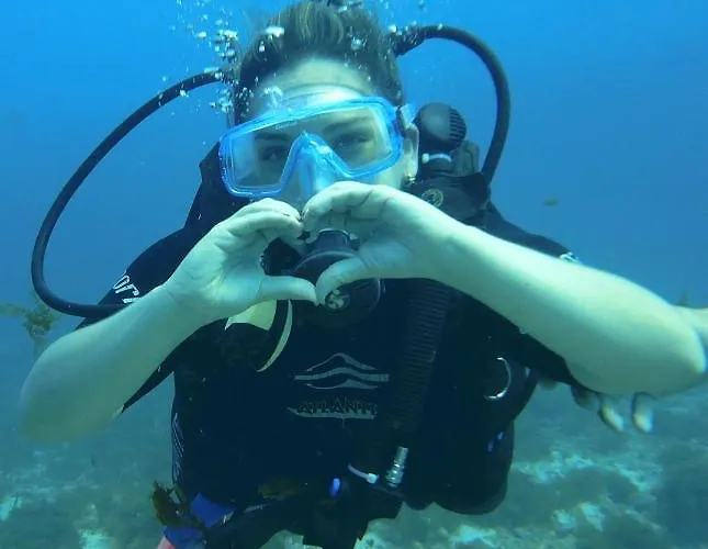 Ferienhaus B&c House Furnas (Azores)