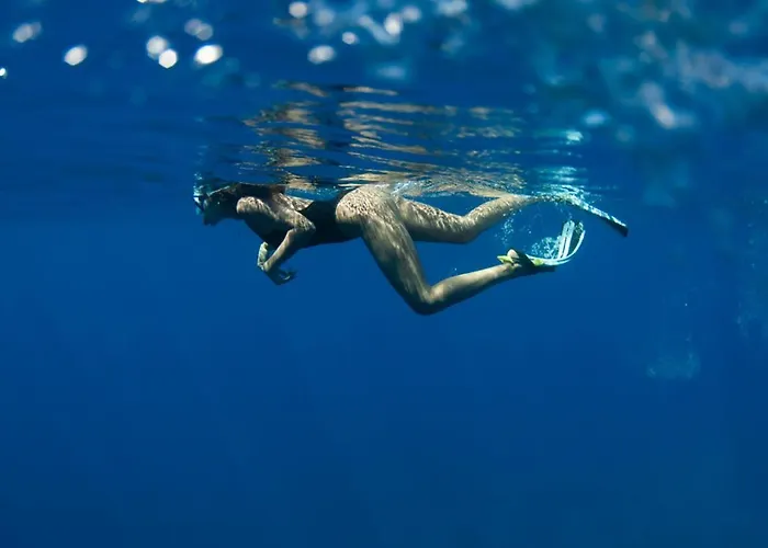 Ferienhaus B&c House *